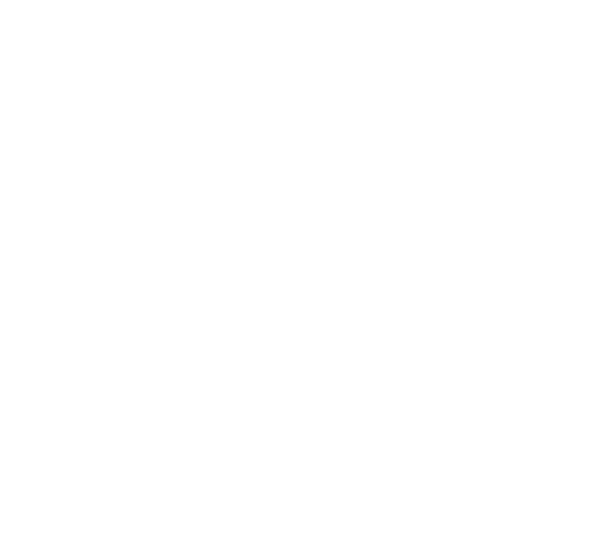 Logo de la chariteam